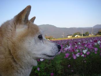 muku